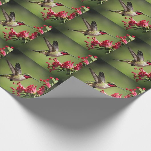 Colorful Hummingbird Cadeaupapier (Hoek)