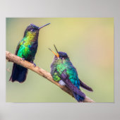 Colorful Hummingbird Couple, samengeperd Poster (Voorkant)