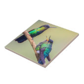 Colorful Hummingbird Couple Tegeltje (Zijkant)