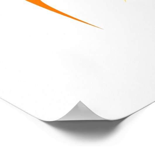 Colorful Hummingbird Drawing Poster (Hoek)