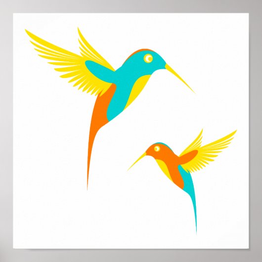 Colorful Hummingbird Drawing Poster (Voorkant)