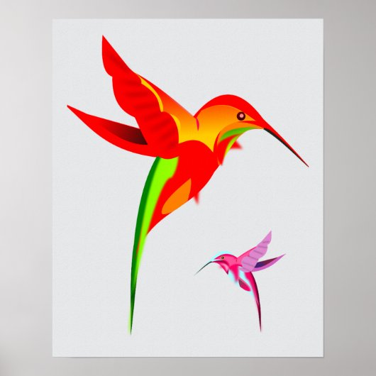 Colorful Hummingbird Drawing Poster (Voorkant)