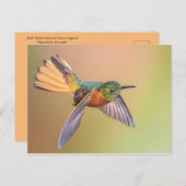 Colorful Hummingbird Flying Briefkaart (Voorkant / Achterkant)
