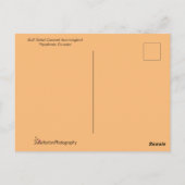 Colorful Hummingbird Flying Briefkaart (Achterkant)