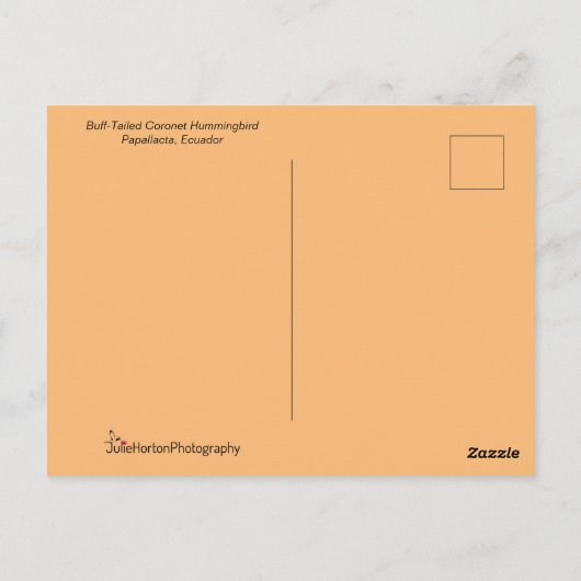 Colorful Hummingbird Flying Briefkaart (Achterkant)