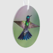 Colorful Hummingbird Flying Name Ornament (voorkant)