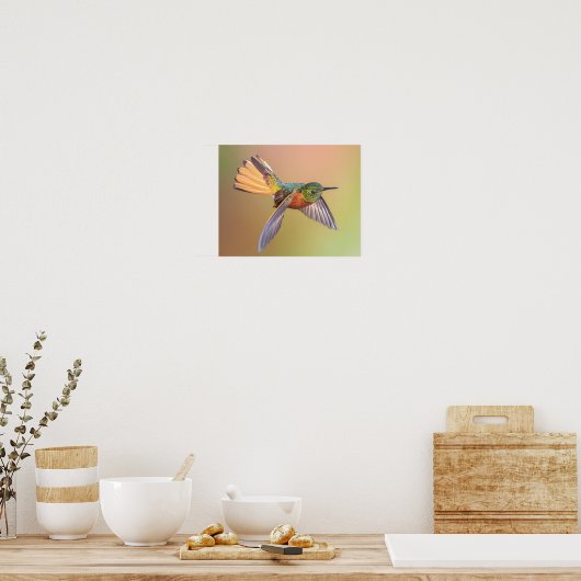 Colorful Hummingbird Flying Poster (Keuken)