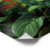 Colorful Hummingbird Perfect Poster (Hoek)