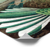 Colorful Hummingbird van Ernst Haeckel Poster (Hoek)