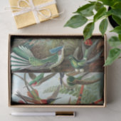 Colorful Hummingbird van Ernst Haeckel Tissuepapier (Geschenk)