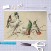 Colorful Hummingbird with Nest, Hector Giacomelli Tissuepapier (Craft)