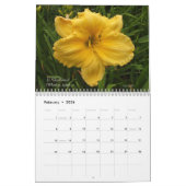 Colorful Hybrid Dayliles Hemerocallis Kalender (Feb 2026)