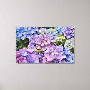 Colorful Hydrangea Flowers Photographic Art Canvas Afdruk