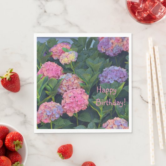 Colorful Hydrangeas Servet (Insitu)