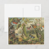 Colorful  Insect Illustratie Briefkaart (Voorkant / Achterkant)