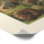 Colorful Insect Illustratie Poster (Hoek)