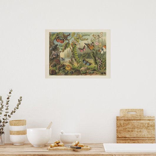 Colorful Insect Illustratie Poster (Keuken)