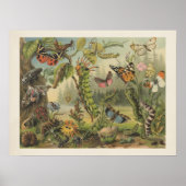 Colorful Insect Illustratie Poster (Voorkant)
