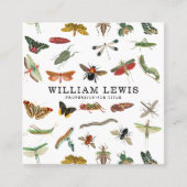 Colorful  Insect Illustratie QR Code Vierkante Visitekaartje (Voorkant)