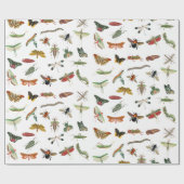 Colorful  Insect Illustrator Patroon Cadeaupapier (Vlak)