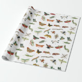 Colorful  Insect Illustrator Patroon Cadeaupapier (Uitgerold)