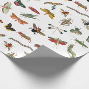 Colorful  Insect Illustrator Patroon Cadeaupapier