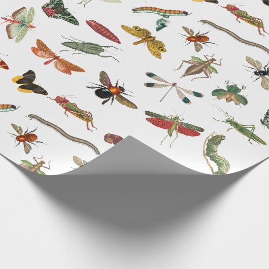 Colorful  Insect Illustrator Patroon Cadeaupapier (Hoek)