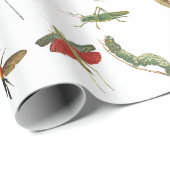 Colorful  Insect Illustrator Patroon Cadeaupapier (Rol Hoek)