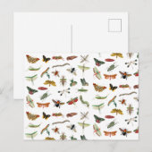 Colorful  Insect Illustrator Patroon Feestdagenkaart (Voorkant / Achterkant)