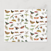 Colorful  Insect Illustrator Patroon Feestdagenkaart (Voorkant)