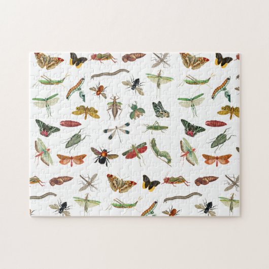 Colorful Insect Illustrator Patroon Legpuzzel (Horizontaal)