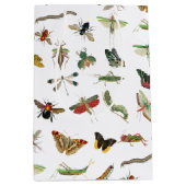 Colorful  Insect Illustrator Patroon Medium Cadeauzakje (Voorkant)