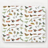 Colorful  Insect Illustrator Patroon Muismat (Voorkant)