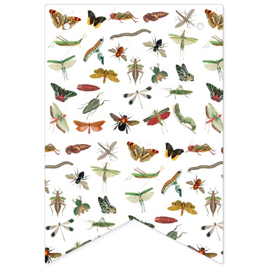 Colorful Insect Illustrator Patroon Vlaggetjes (Eerste vlag)