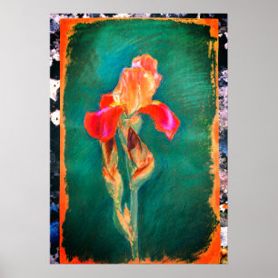 Colorful Iris Flower Poster