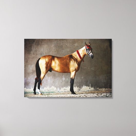 Colorful Jumping Horse Canvas Afdruk (Voorkant)