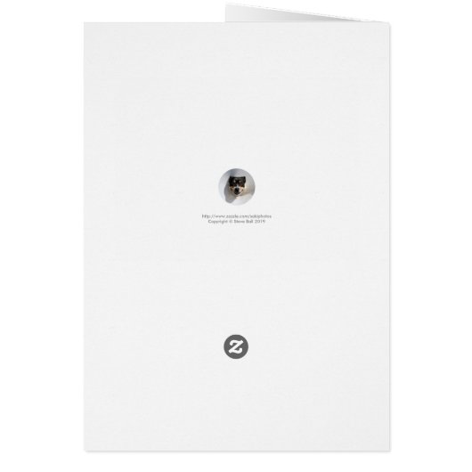 Colorful kaleidoscoop (Achterkant)