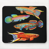 Colorful Killifish Mousepad Muismat (Voorkant)