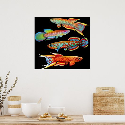 Colorful Killifish Poster (Keuken)
