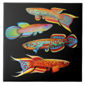 Colorful Killifish Tile Tegeltje (Voorkant)