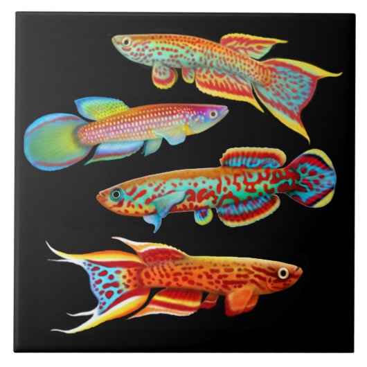 Colorful Killifish Tile Tegeltje (Voorkant)