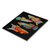 Colorful Killifish Tile Tegeltje (Zijkant)