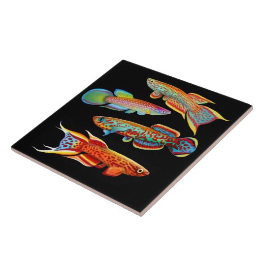 Colorful Killifish Tile Tegeltje (Zijkant)
