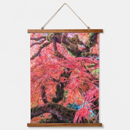 Colorful Laceleaf Japanese Maple Tree Hangend Wandkleed (Voorkant)