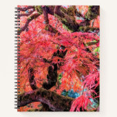 Colorful Laceleaf Japanese Maple Tree Notitieboek (Voorkant)