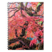 Colorful Laceleaf Japanese Maple Tree Notitieboek (Voorkant)