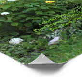 Colorful Late August Gardens! Poster (Hoek)