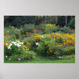 Colorful Late August Gardens! Poster