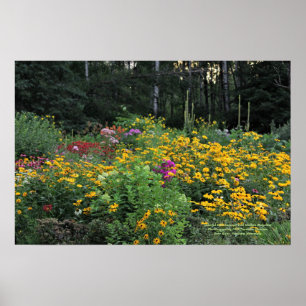 Colorful Late Summer Tall Wild Mullein Poster