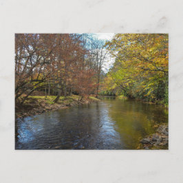 Colorful Leaves Herfst Reflections on Autumn Strea Briefkaart